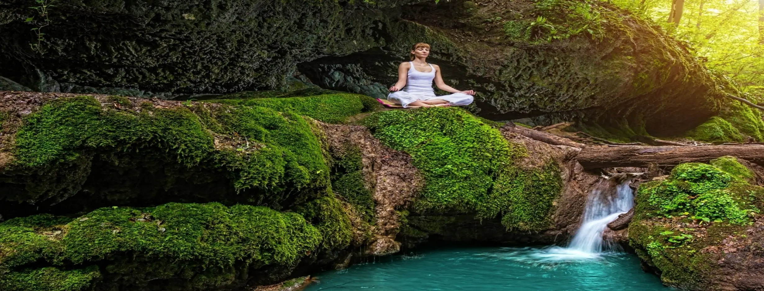 Image for Peaceful Haven